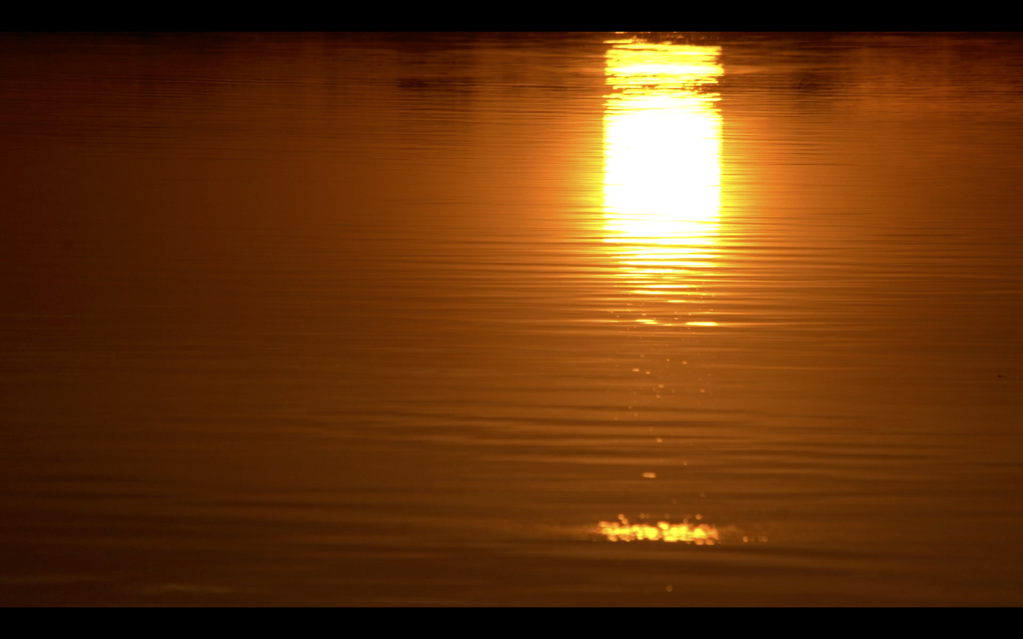 Screen Shot 2023-04-12 at 11.52.23